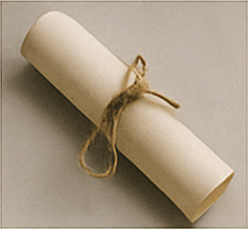 Wisdom-Wired™ Scrolls