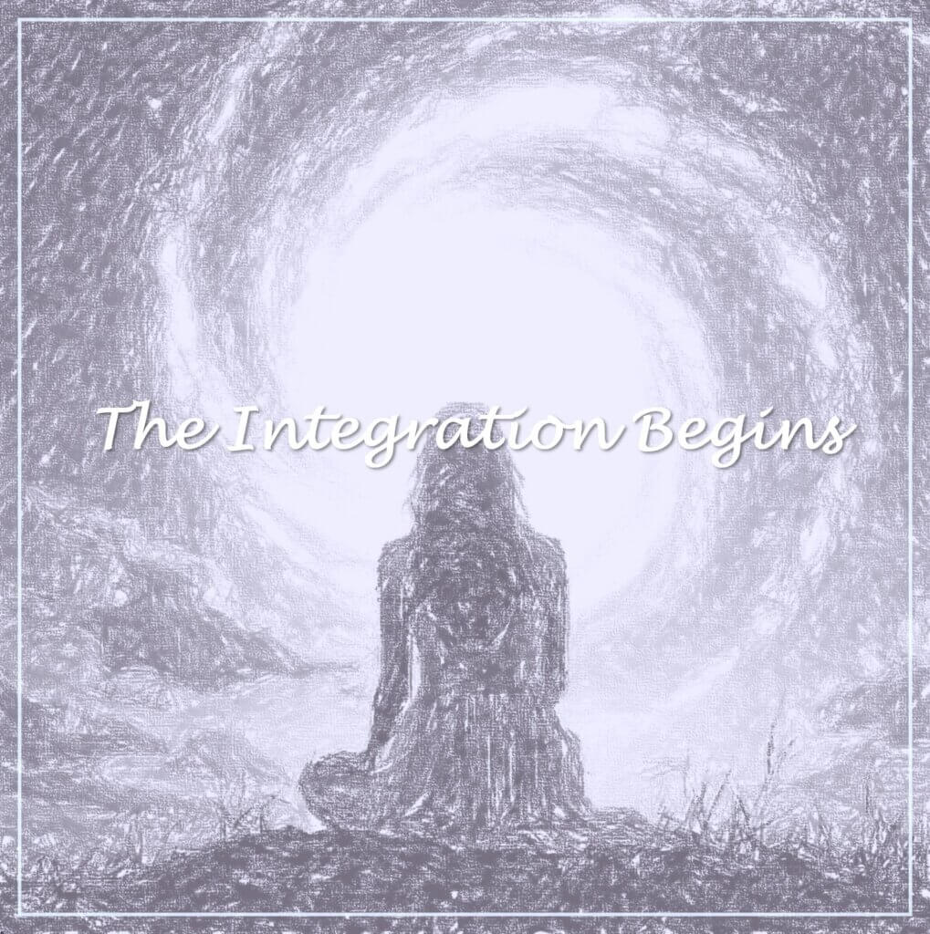 Wisdom Wired™ Chapter 3 - The Integrations Begins