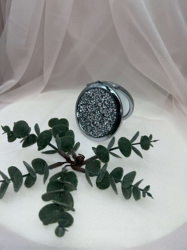 Wisdom Wired™ Mirror - Silver Wisdom Wired™ Mirror - Silver